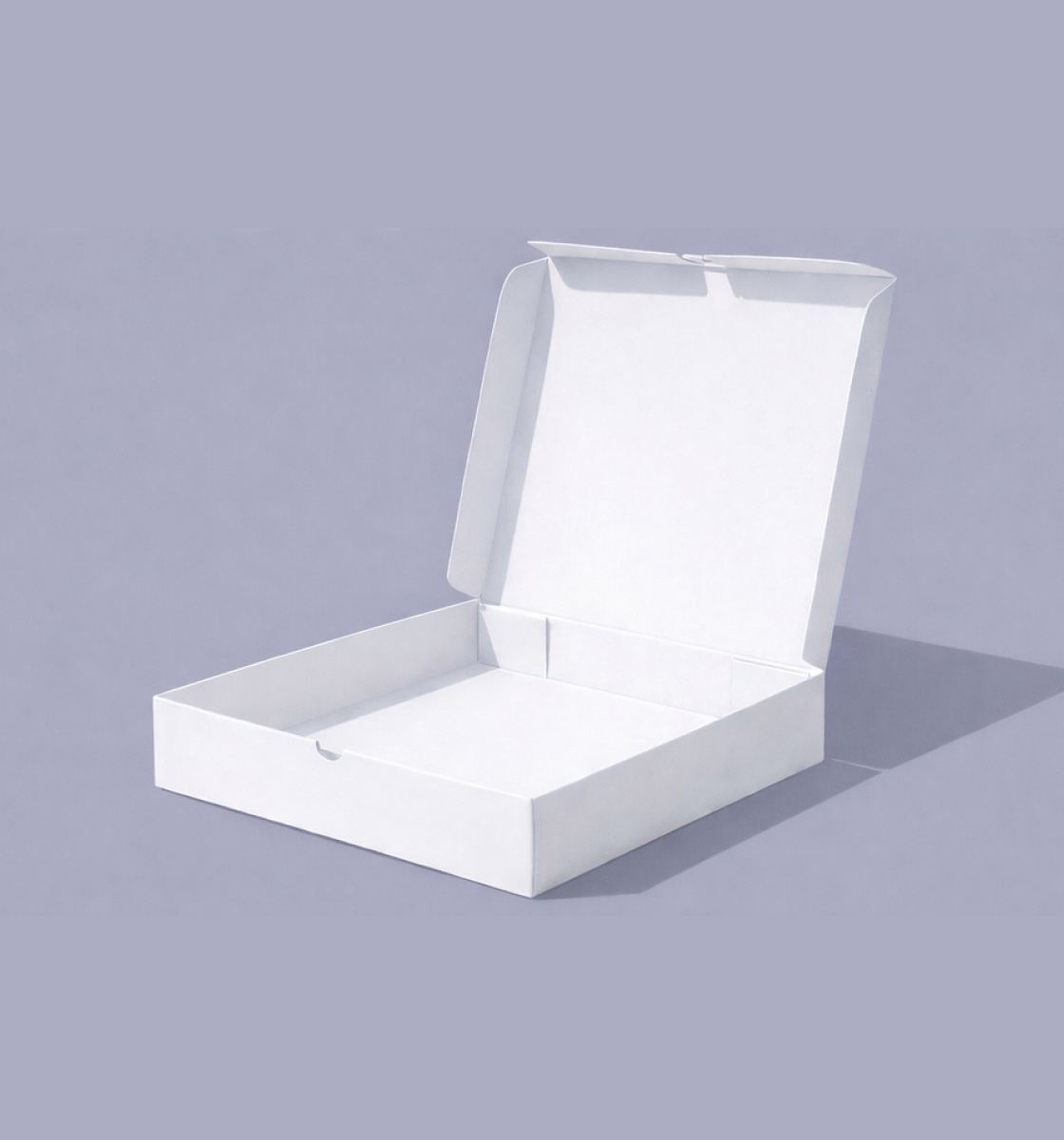 Pizza Box 8" CyberXl