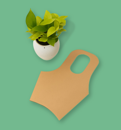 Kraft Plant Carrier – Eco-Friendly Gifting & Carry Solution