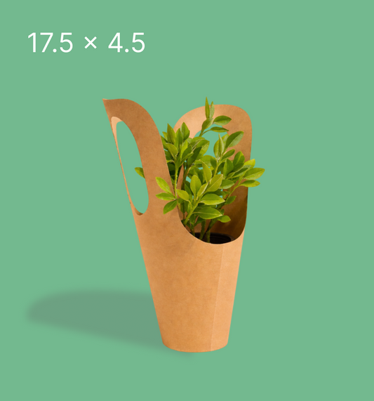 Kraft Plant Carrier – Eco-Friendly Gifting & Carry Solution