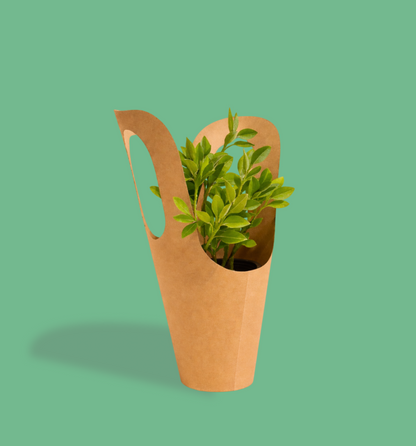 Kraft Plant Carrier – Eco-Friendly Gifting & Carry Solution