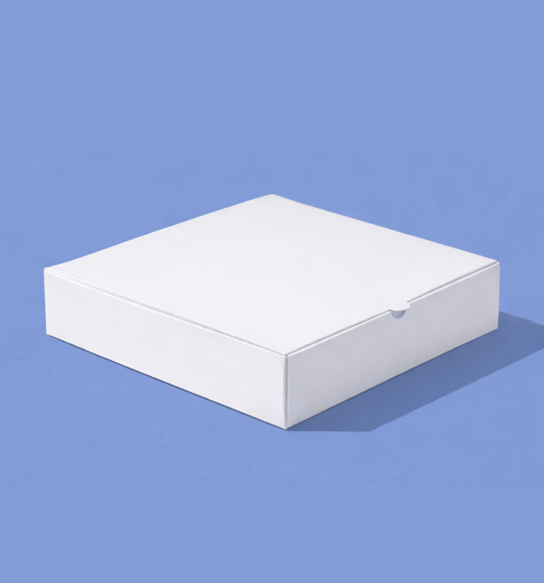 Pizza Box 10" CyberXl